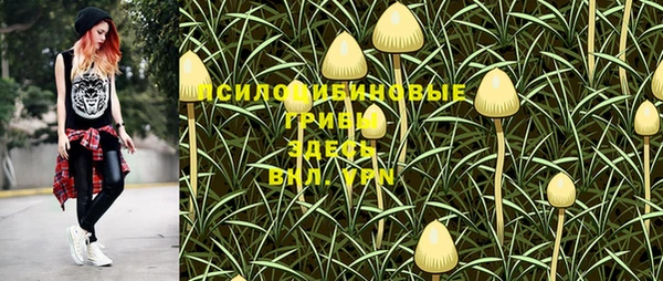 молекула духа Заволжье