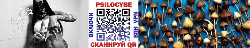 даркнет сайт  Батайск  Псилоцибиновые грибы Psilocybe 